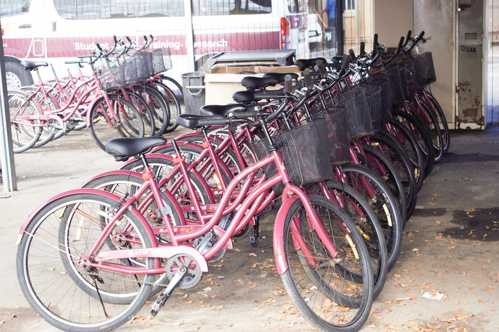 Transport Services Article (1)